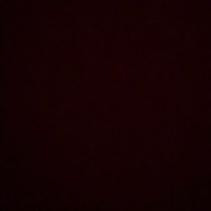 Meet your Posher, Ryann